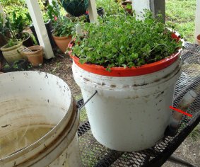 partially fill bucket`