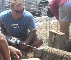 drilling boltholes for sleepers