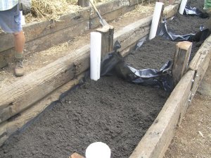 soil in beds