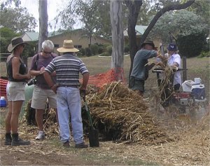 preparing straw mulch