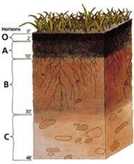 soilformation.jpg