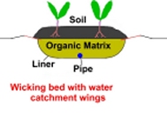 wicking bed graphic